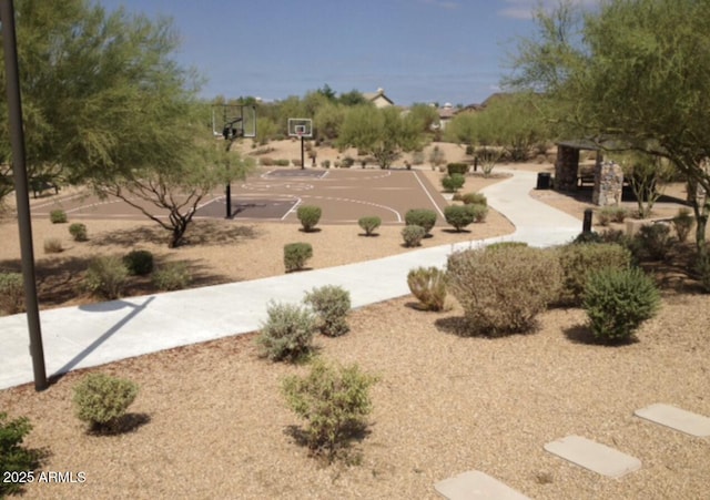 surrounding community featuring community basketball court