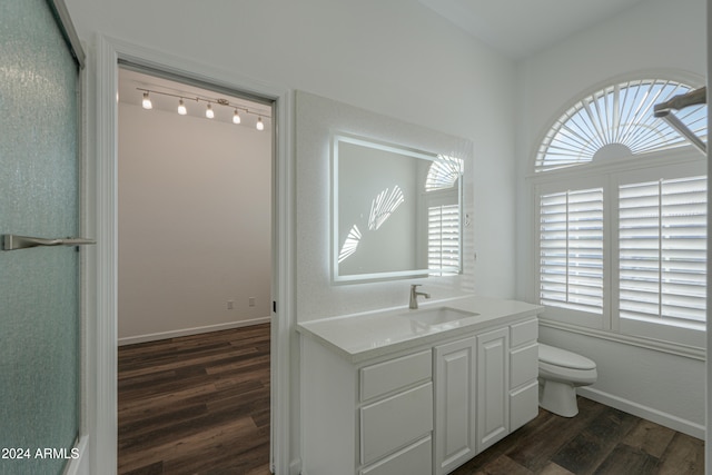 bathroom featuring vanity, wood-type flooring, toilet, and walk in shower