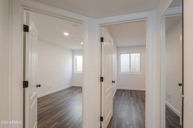 hallway featuring dark hardwood / wood-style floors and a healthy amount of sunlight