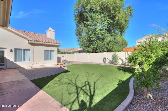 view of yard featuring a patio area