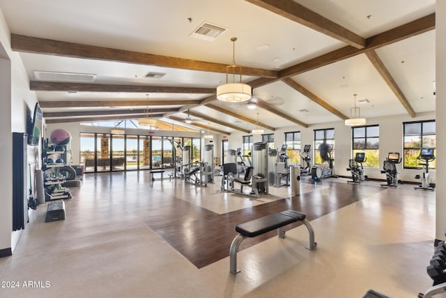 workout area featuring vaulted ceiling, wood-type flooring, and a healthy amount of sunlight