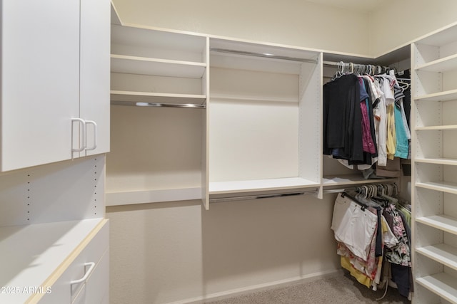 walk in closet with carpet flooring