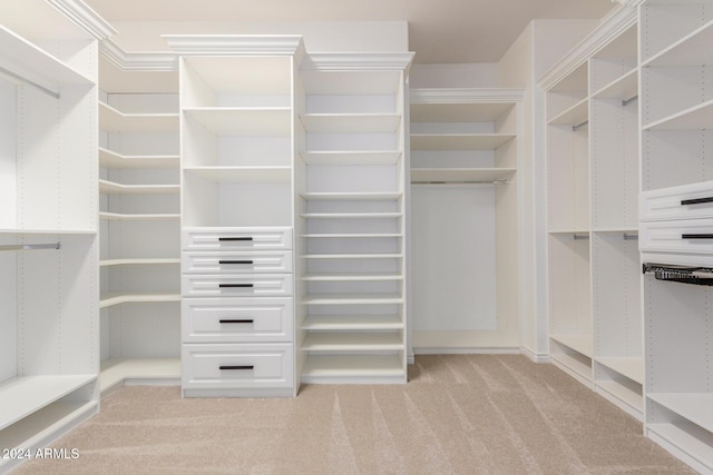 spacious closet with light carpet