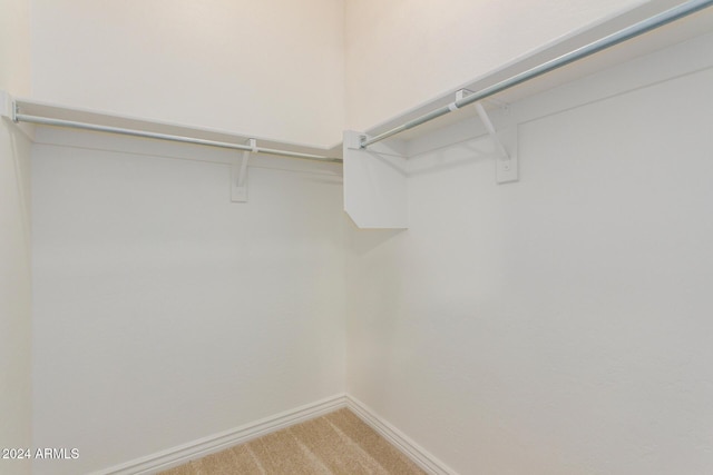 spacious closet featuring carpet flooring