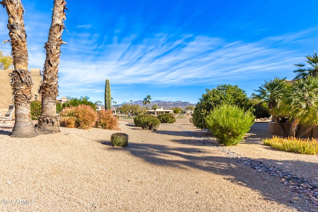 view of yard featuring a mountain view