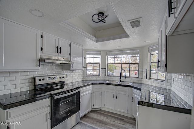 kitchen featuring stainless steel electric range, a raised ceiling, white cabinetry, and sink