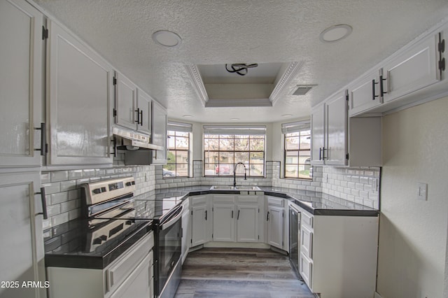 kitchen featuring white cabinetry, electric range, sink, and a tray ceiling