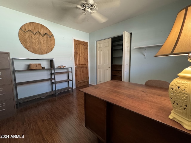 office area featuring ceiling fan and dark hardwood / wood-style flooring