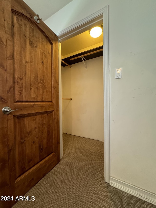 walk in closet with carpet flooring