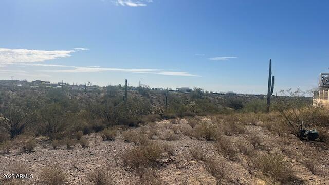 view of undeveloped land