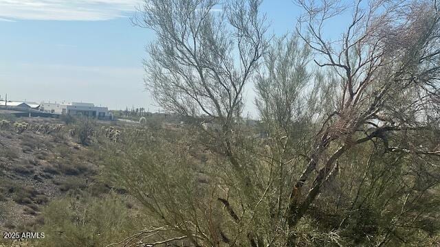 view of undeveloped land