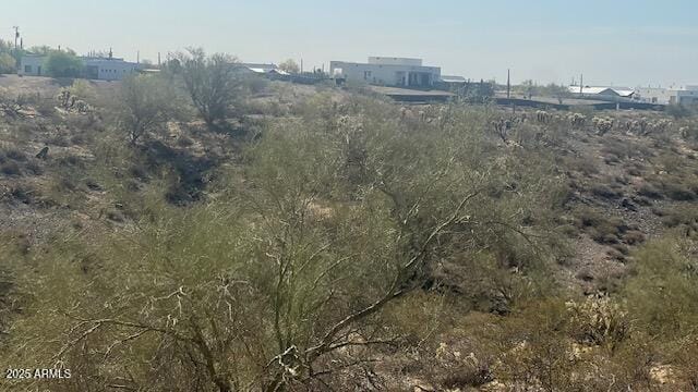 view of undeveloped land