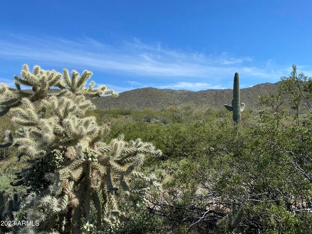 Listing photo 3 for 160ACRES S Guild Rd -, Unit Marana AZ 85658