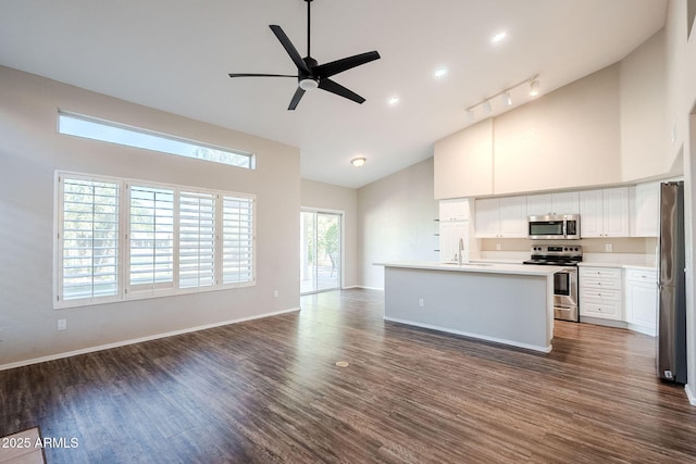 1227 E Sheena Dr, Phoenix, AZ 85022 - kitchen with stainless steel appliances, high vaulted ceiling, a sink, a ceiling fan, and dark wood finished floors