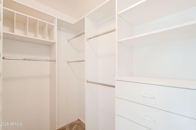 1227 E Sheena Dr, Phoenix, AZ 85022 - spacious closet featuring carpet flooring