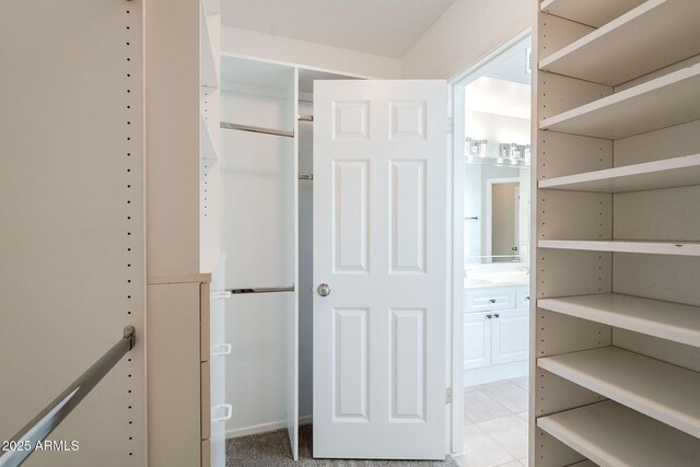 1227 E Sheena Dr, Phoenix, AZ 85022 - view of spacious closet