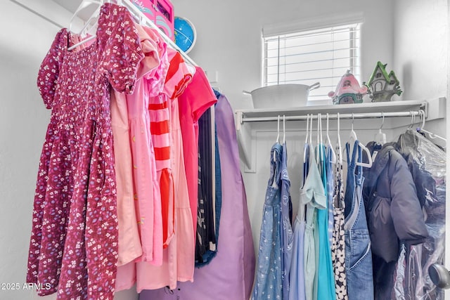 view of spacious closet