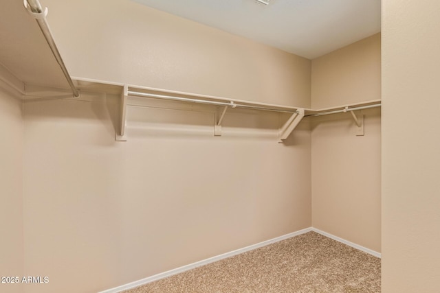 spacious closet with carpet