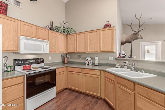 kitchen with range with electric cooktop, sink, dark hardwood / wood-style flooring, and light brown cabinets