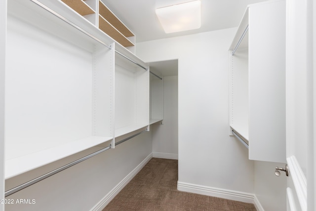 walk in closet featuring dark colored carpet