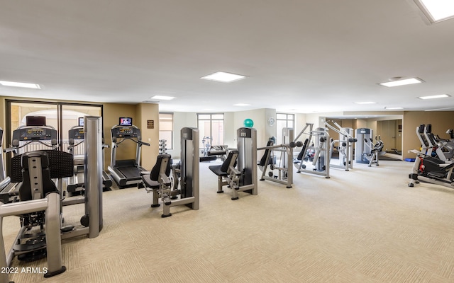 gym with light colored carpet