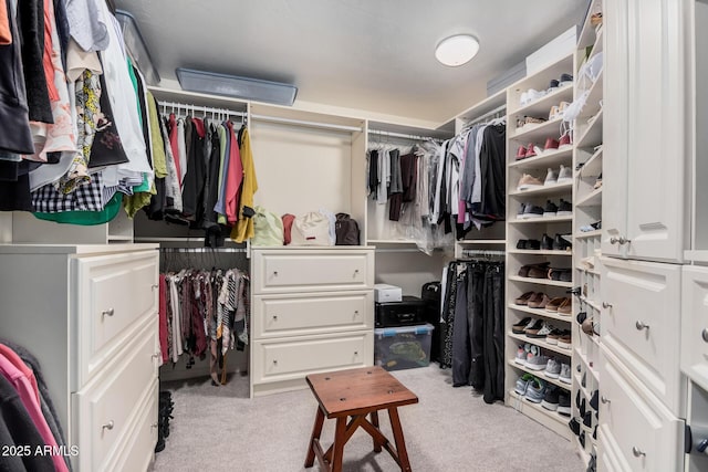 walk in closet featuring light colored carpet