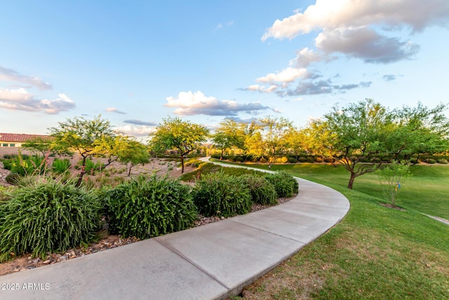 5328 S Wesley Cir, Mesa, AZ 85212 - surrounding community featuring a yard