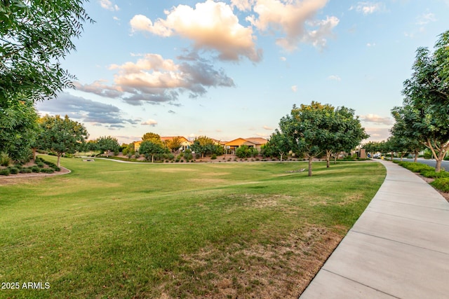 5328 S Wesley Cir, Mesa, AZ 85212 - surrounding community with a lawn