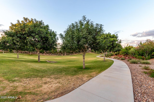 5328 S Wesley Cir, Mesa, AZ 85212 - view of home's community with a yard