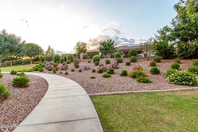 5328 S Wesley Cir, Mesa, AZ 85212 - view of yard