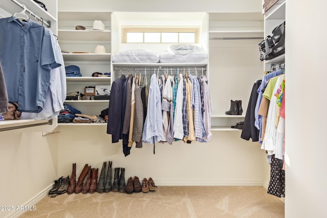 walk in closet featuring carpet flooring