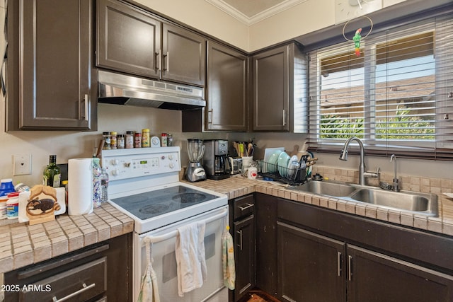 kitchen featuring electric range and dark brown cabinets