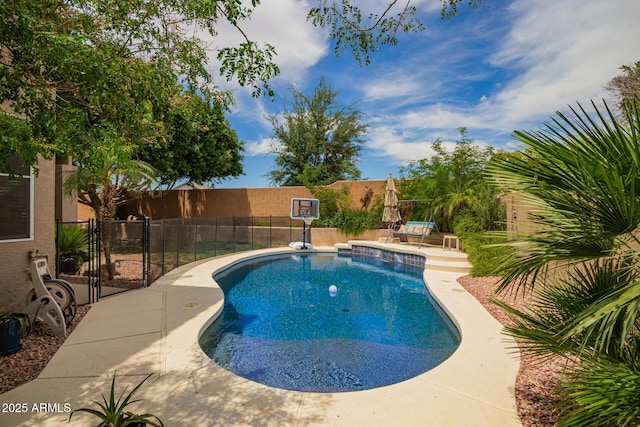 6862 W Honeysuckle Dr, Peoria, AZ 85383 - view of swimming pool featuring a patio area