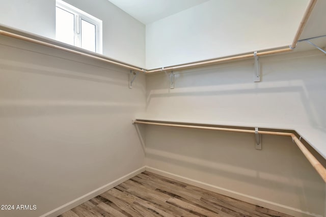 spacious closet featuring hardwood / wood-style flooring