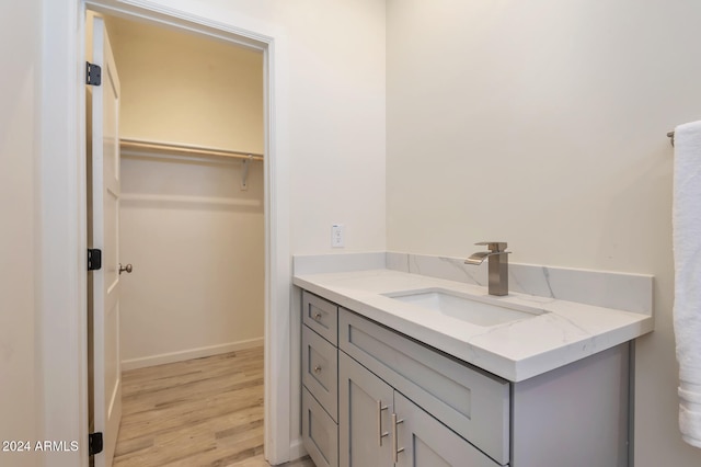 bathroom with hardwood / wood-style flooring and vanity