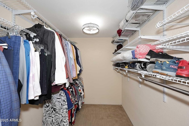 view of walk in closet