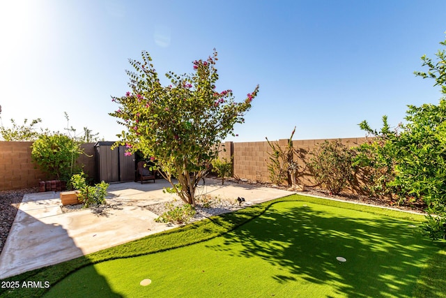 view of yard featuring a patio area and a fenced backyard