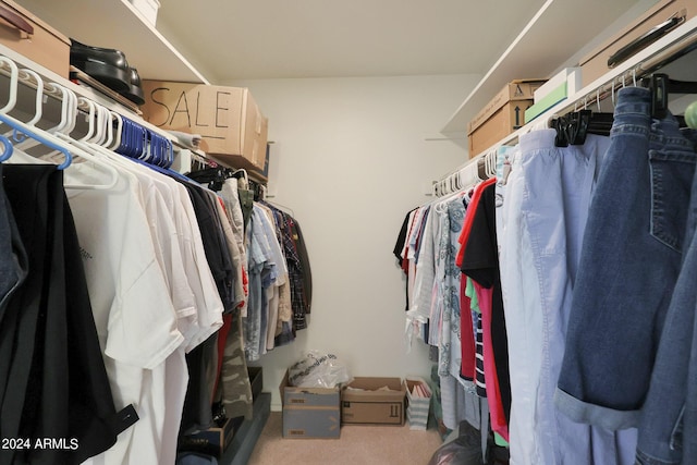 spacious closet featuring carpet flooring