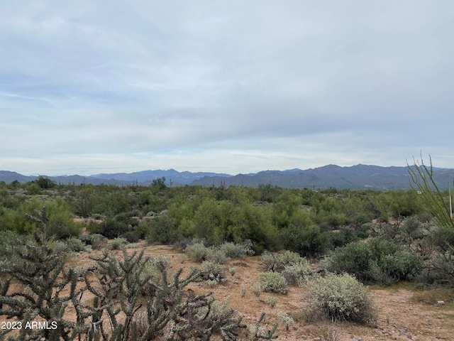 Listing photo 3 for 0 N 170th Sts -/-/-, Unit Rio Verde AZ 85263