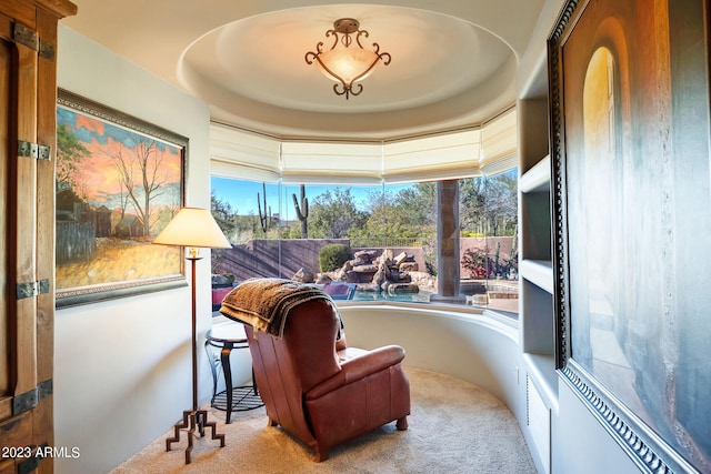 sitting room with carpet floors and a raised ceiling