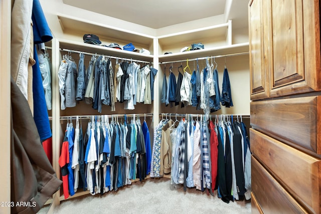 walk in closet featuring carpet flooring