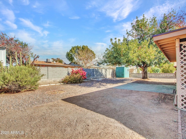 view of yard featuring a patio area and a shed