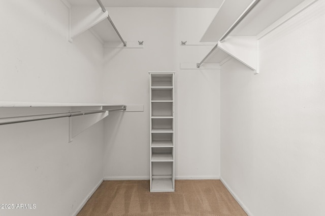 walk in closet with carpet floors