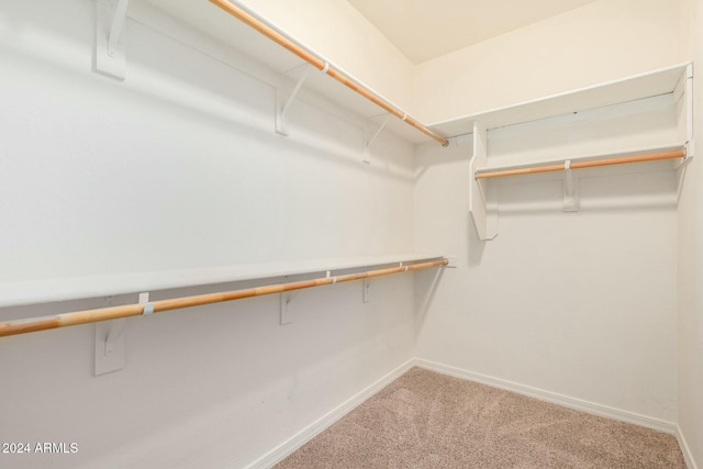 spacious closet with carpet flooring