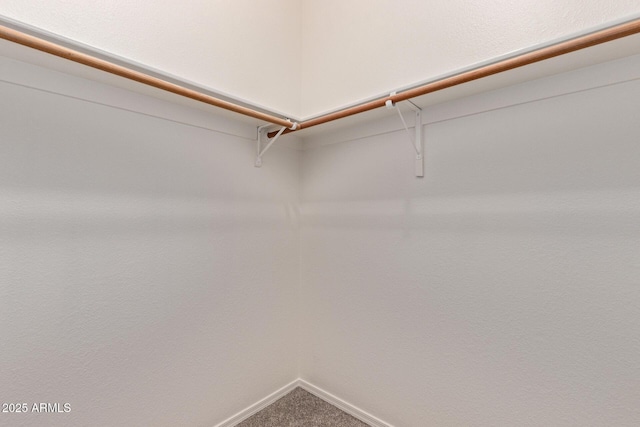 1021 S Greenfield Rd Unit 1211, Mesa, AZ 85206 - spacious closet featuring carpet