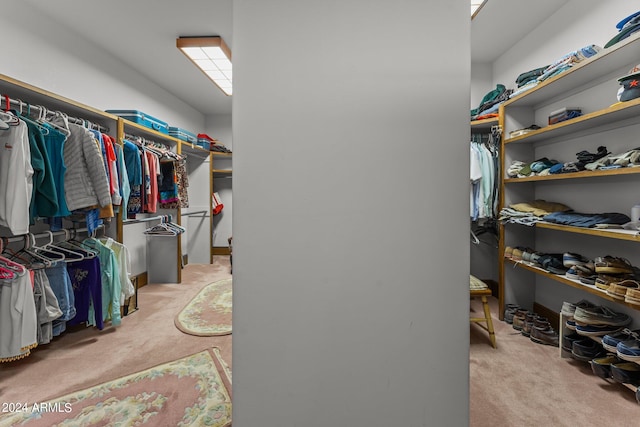 walk in closet featuring light colored carpet