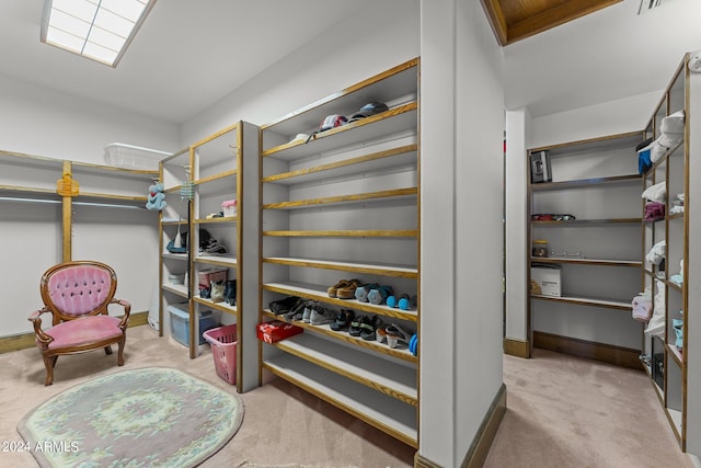 spacious closet with light carpet