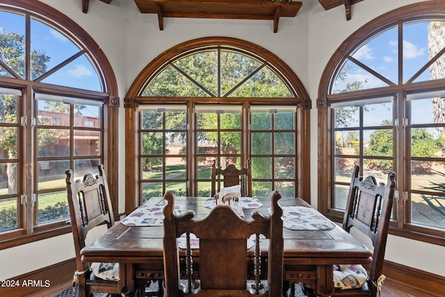 dining room featuring hardwood / wood-style floors and a wealth of natural light