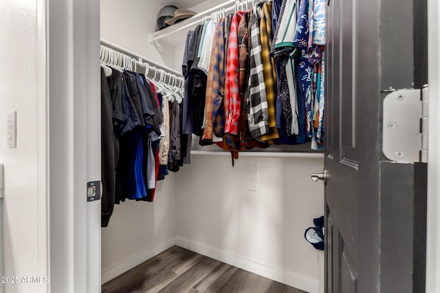 spacious closet with hardwood / wood-style flooring