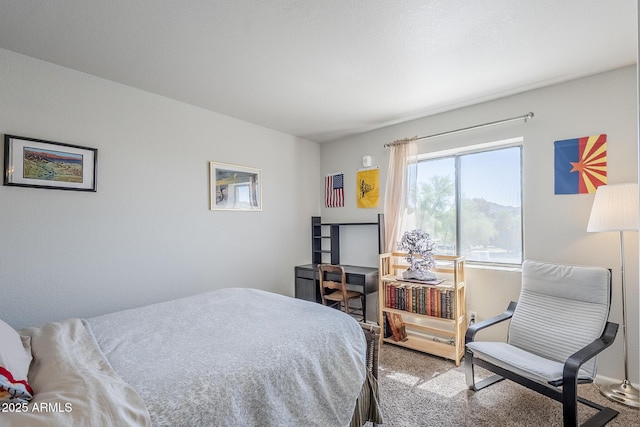17 E Ruth Ave Unit 303, Phoenix, AZ 85020 - bedroom with carpet flooring and baseboards